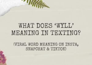 WYLL Meaning Text Snapchat
