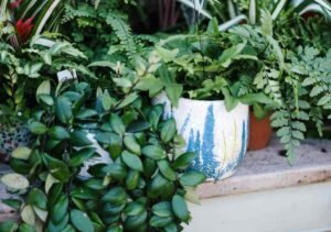 Guide to Improving Outdoor Landscape Design