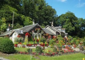 Garden Landscaping Ideas