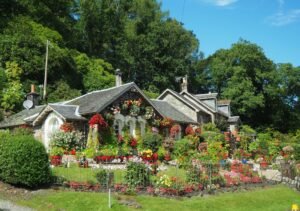 A Guide to Designing Your Dream Garden Retreat