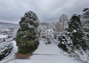 preparing Your Garden For The Cold Season 