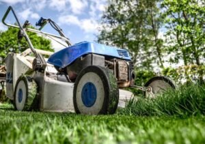 Maximizing Curb Appeal: Essential Lawn Care Strategies for Commercial Properties