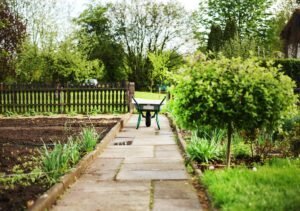 Creating a Green Sanctuary in Your Home: 6 Gardening Tips to Follow
