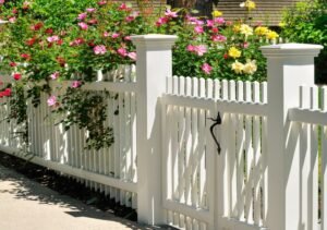 4 Stylish Pool Fencing Options That Will Enhance Your Outdoor Space