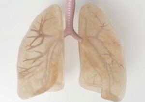 The Importance of Hiring a Mesothelioma Lawyer