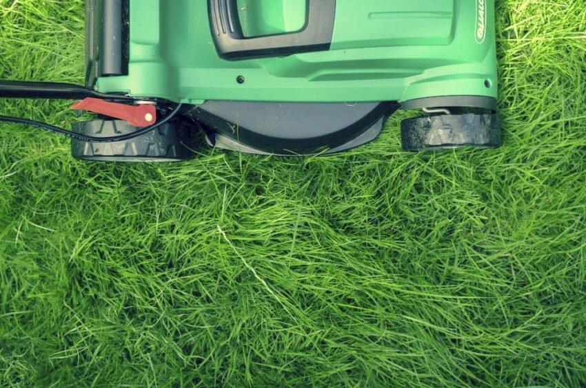 Maximizing Curb Appeal: Choosing the Right Custom Lawn Care Plan for Your Home