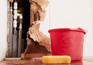 Water Mitigation Company