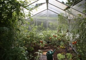 Discovering the Secret Garden: Janssens Greenhouses