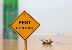 The Importance of Quick Response in Emergency Pest Control Situations