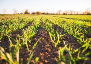 The Importance of Pump Design In The Agriculture Industry