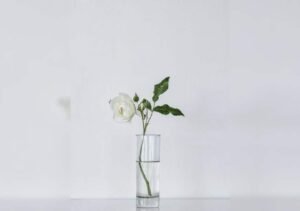 Discover the Perfect Solution for Event Planners in Glass Bud Vases