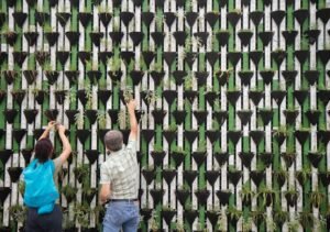 How to Use Vertical Gardening Solutions for Small Spaces