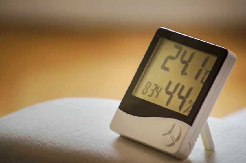 Role of Humidity in Mold Growth in Your Home