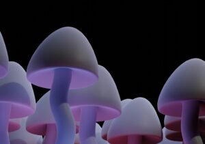 Psilocybin Mushroom Trip