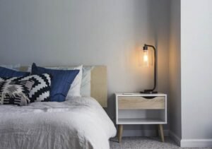 Identifying and Eradicating Bed Bugs