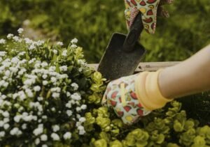 Avoid Common Gardening Injuries