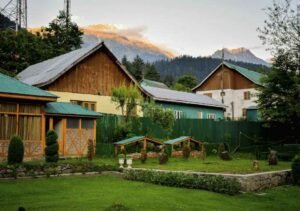 6 Effective Tips for Pest Control in Your Home