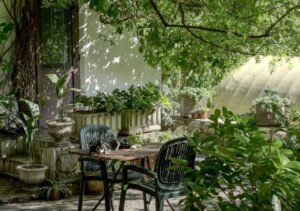 Planning Your Perfect Garden