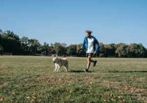 Improving Your Dogs' Behavior