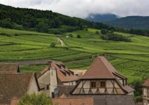 Before Replacing Your Home's Roof