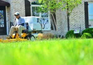 Lawn Care Mistakes to Avoid
