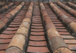 Maintain Your Roof Professionally