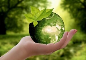 Businesses can Integrate Sustainable Practices