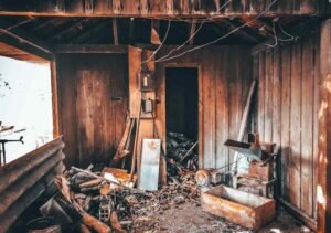 When to Consider Junk Removal Services