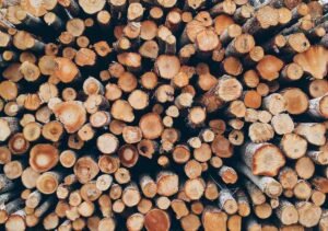 Find Premium Wood Products