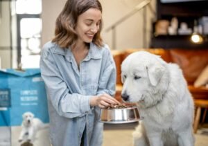 Balanced Diet for Your Dog's Health