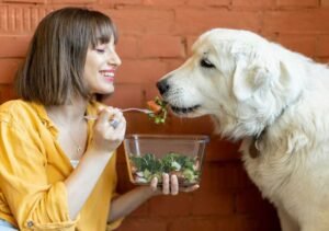 Probiotics for Your Pet's Health