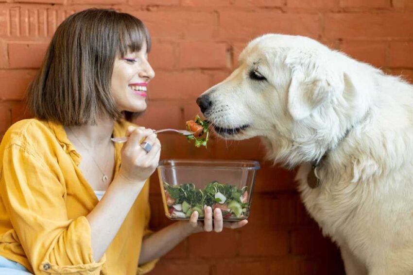 Probiotics for Your Pet's Health