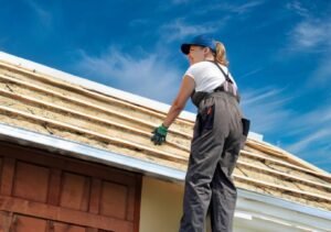 Professional Roof Installation