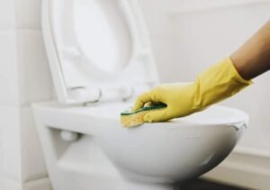 Septic Tank Cleanout