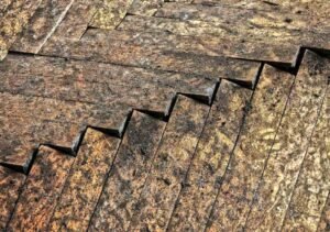 Water Damage in Your Home