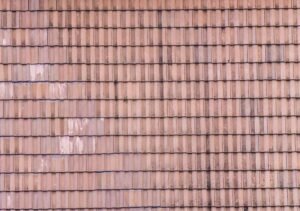 Roof Shingles Need Replacing