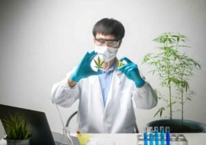 CBD and THC Revolution