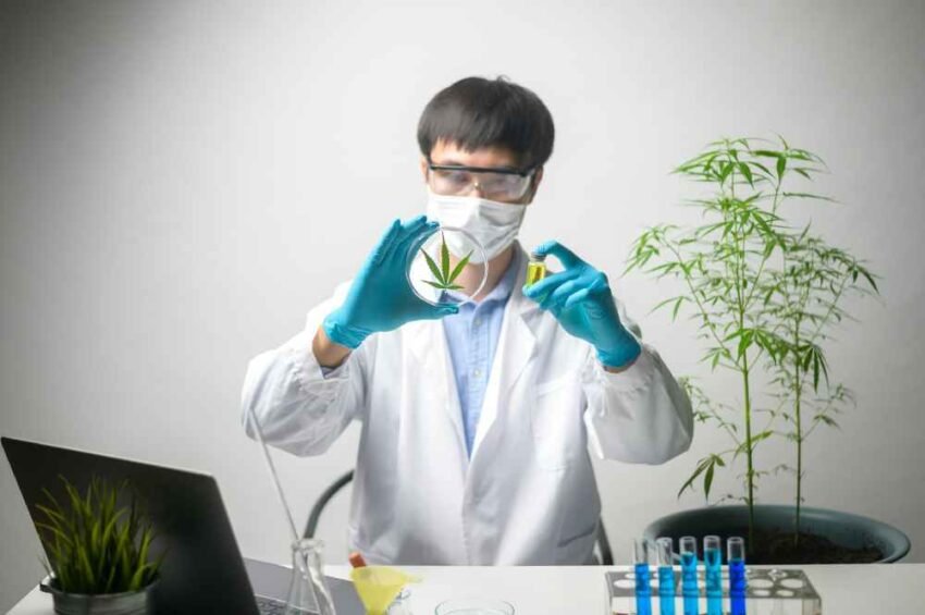 CBD and THC Revolution
