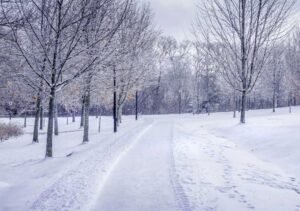 Turning Winter Landscapes Into Art