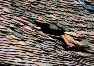 Signs You Need Professional Roofing Services Right Away