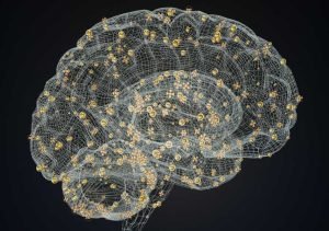 Best Brain Hacks for Staying Sharp