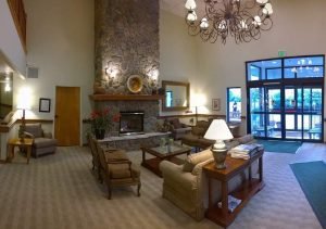 Essential Interior Design Tips for Beginners