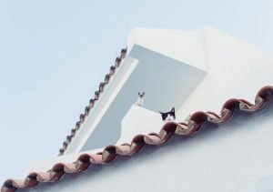 Choosing a Roof Design