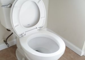 How to Unclog a Toilet Efficiently?