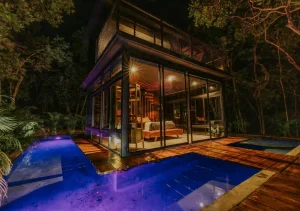 Modern tiny house design