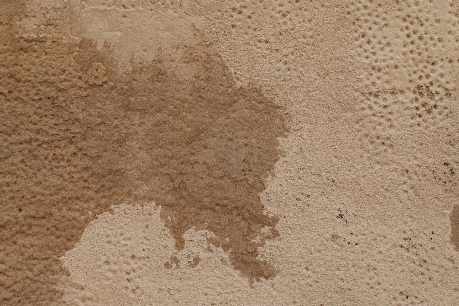 What’s That Smell? Hidden Signs of Problems in Your Home