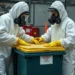 Hazardous Waste Removal Companies & Best Practices for Safe Disposal